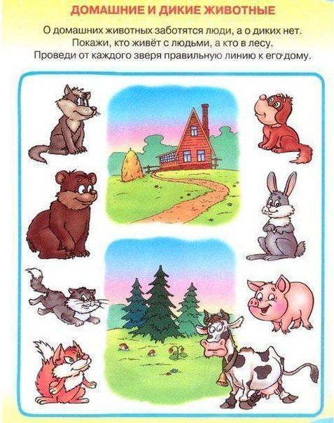 Развитие речи 4